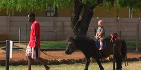 Pony_Rides